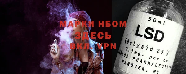 хмурый Алексин