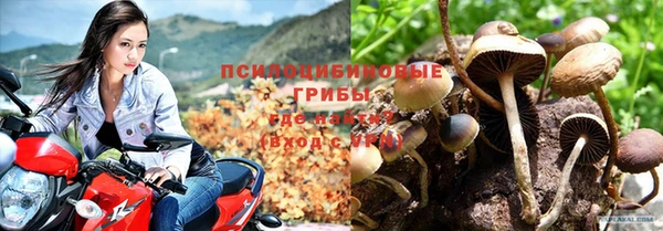 MESCALINE Алзамай
