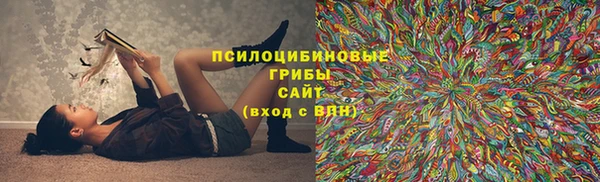 хмурый Алексин