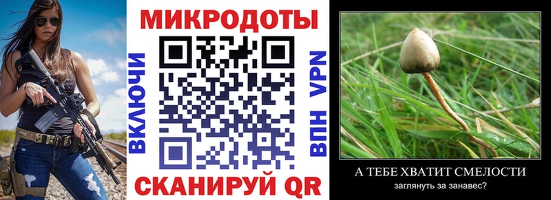 Галлюциногенные грибы Magic Shrooms  Пролетарск 